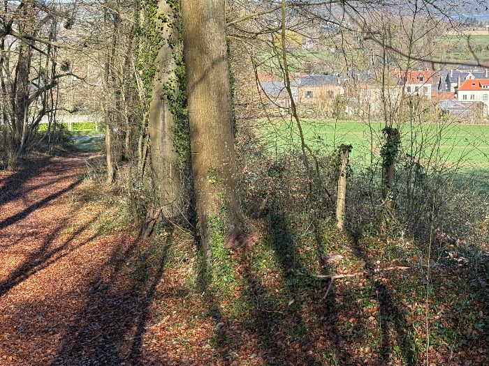 Le chemin débouche du bois directement à l'entrée d'Yville-sur-Seine.