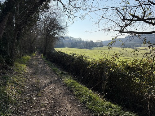 Nous sommes sortis des bois, avons traversé deux hameaux, et descendons maintenant sur cet agréable chemin de lisière au-dessus du Douet du Mieux.