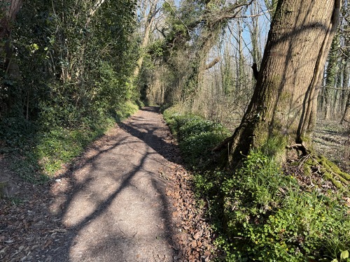 Nous traversons à nouveau des bois, le Bois Ravenot puis celui-ci qui est le Bois du Mieux.&nbsp;