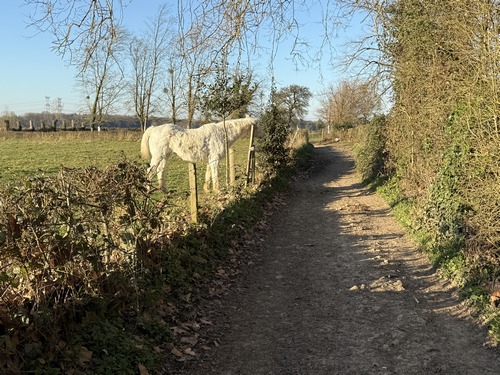 Nous ne sommes pas loin non plus du Poney-Club de Bois-Guilbert, fondé par Louis de Pas.