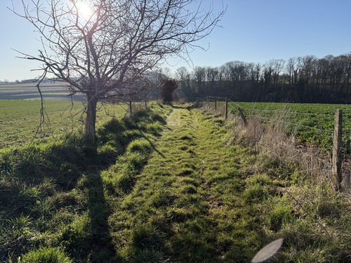 Nous marchons vers le sud, sur le chemin de la Chasse-Marée.