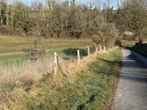 Nous descendons dans le Fond de Bruquedalle, petit vallon aux coteaux boisés.