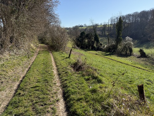 Avant d'entrer dans Bois-Guilbert, nous descendons dans le vallon et les vestiges du bois du Paon, nous allons fermer la boucle un peu plus loin.