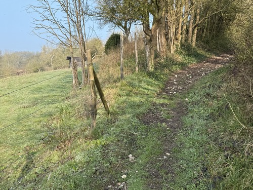 Passage boisé à proximité de la Saussaye. On distingue deux ânes à gauche.