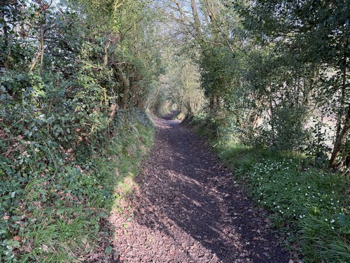 Nous traversons rapidement le quartier de Villeneuve en suivant maintenant un balisage bleu et retrouvons les bois.