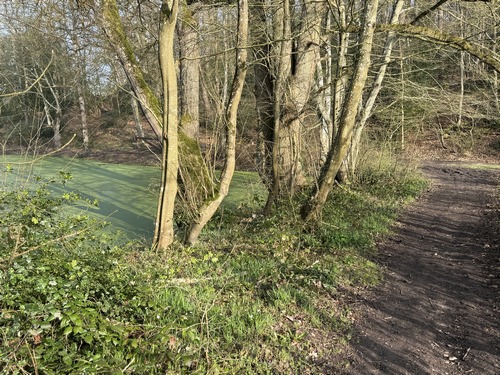 Nous ne quittons pas les bois en longeant la Saussaye, avec ici la Mare au Vivier.