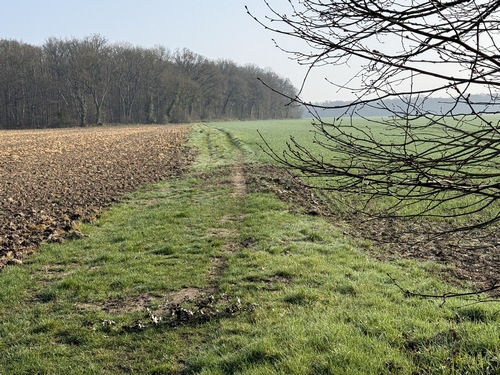 Nous allons traverser la plaine des Vingt-Acres et continuer en forêt en face.