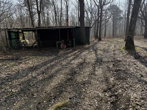 Nous retrouvons les chemins en longeant cet abri de chasse en direction du chemin de la Demi-Lune. En période de chasse, il faut rester sur la Rue de la Forêt d'Elbeuf.