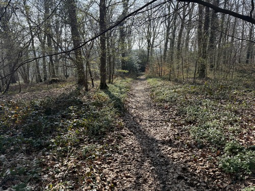Le chemin de la Demi-Lune nous dirige&nbsp;vers le bourg de St-Cyr-la-Campagne.