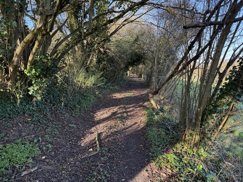 Le chemin des Randonneurs est un couloir boisé qui offre quelques ouvertures pour admirer les paysages de la vallée de l'Andelle.