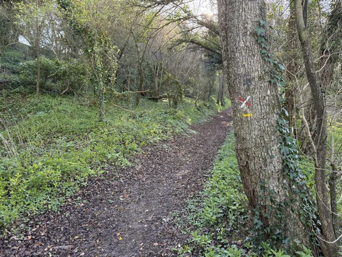 Nous quittons le chemin des Randonneurs pour monter vers le sud.