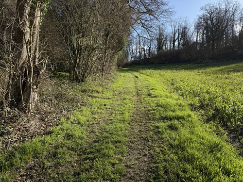 Notre chemin avance en parallèle de la route d'Elbeuf (D413) pour se diriger vers La Haye.