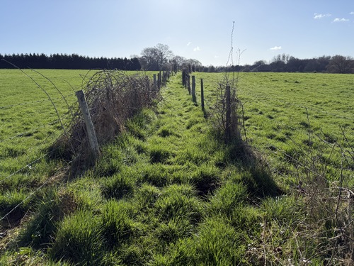 Nous suivons maintenant le chemin des Pliniers, étroit sentier qui se glisse entre les prés au-dessus du Val St-Pierre.