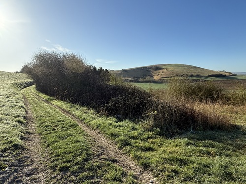 Nous montons vers la butte du Grand Mont de Sigy. Cette butte est située entre les vallées de l'Andelle et de la Roulée. Non boisée, elle abrite de nombreuses orchidées. La montée progressive est facile.