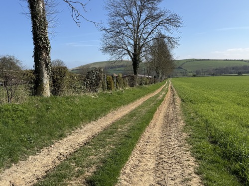 Après le Launay, nous quittons la rue pour suivre ce chemin de la Terre des Pauvres.