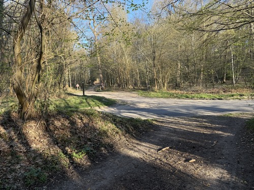 A la Haye des Perques, je traverse la D20 pour continuer sur le chemin en face.