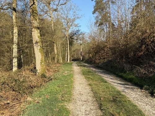 Je continue sur la voie forestière du Val Herbeux dans le bois Sainte-Marguerite.