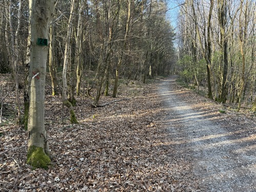 Je quitte le GR2 pour passer par la pointe du massif forestier qui domine Yainville.&nbsp;
