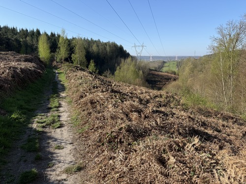C'est un chemin très agréable, avec ici une ouverture due aux lignes du transformateur de Yainville.