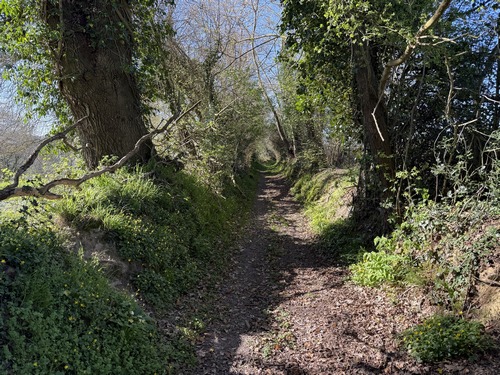 Nous redescendons dans la vallée au lieu-dit Vallée Thierry.