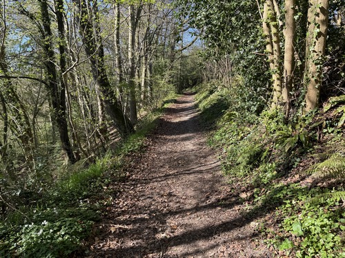Nous sommes aux Monts au Rat, au-dessus de la rivière. Depuis le départ, nous sommes frappés par la beauté des chemins. C'est le cas, mais il faut dire aussi que c'est une belle journée d'avril, la nature est magnifique, et les chemins bordés de Petites Pervenches, de Primevères, et autres Anémones des Bois...&nbsp;