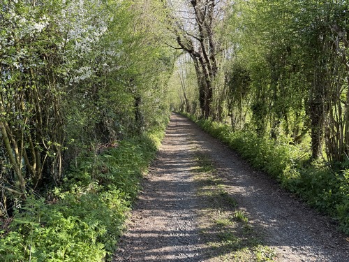 Nous arrivons sur le Chemin de la Vallée qui domine le ruisseau du Val Jouen.