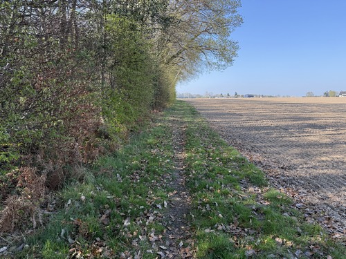 Nous longeons les bois du vallon de la Fontaine Barbotte.