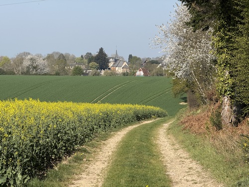 Dans la plaine des Vallettes, on peut déjà voir le village de St-Symphorien, mais nous allons faire un détour pour profiter du bois du Mont Bourdon.