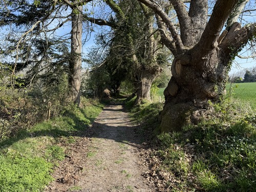 Chemin de Mélimont vers le hameau de la Côte du Mont Morel.