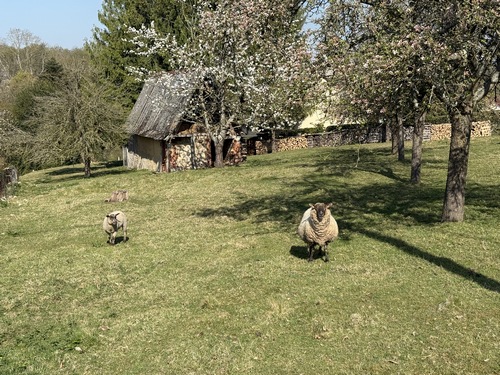 Hameau de la Côte du Mont Morel.