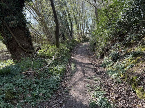Chemin du bois Bourdon.
