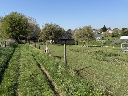 Nous sortons du bois et allons traverser la D139 (route de Lisieux) pour rejoindre St-Symphorien.
