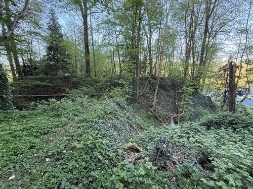 Le chemin monte dans le bois de Saint-Denis et longe la motte castrale dont la silhouette est bien identifiable. Le château fort a disparu depuis longtemps. On voit des vestiges de maçonnerie dans le fossé et sous le chemin d'accès (propriété privée)