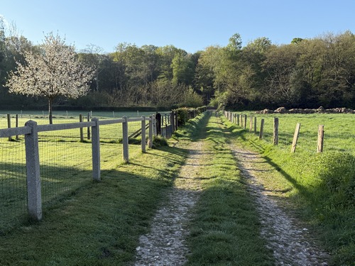 Sortie des Houis en direction d'une autre partie du bois de Saint-Denis.