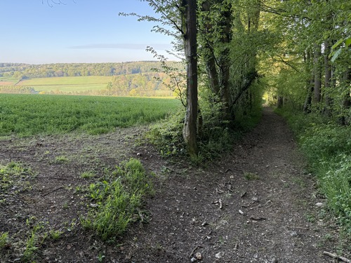 Le chemin débouche sur le coteau et offre des panoramas sur la vallée du Crevon.