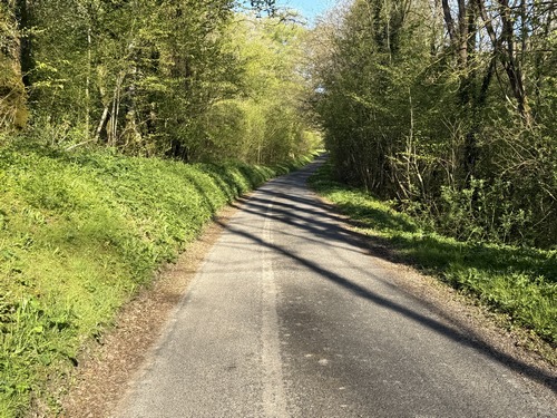 La petite route de Villers monte tranquillement vers le Mont Ecaché, au milieu des bois.