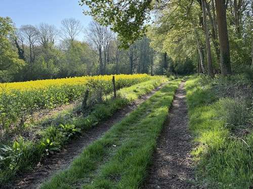 La plaine agricole du Mont Ecaché laisse la place aux bois quand on avance vers le coteau.