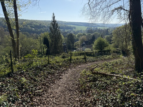 Le chemin (GRP) sort du bois pour offrir un superbe panorama sur St-Denis-le-Thiboult et la vallée du Crevon.