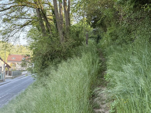 Un peu plus loin, nous quittons la rue Béquet et entrons sur ce sentier qui grimpe vers le sommet du coteau. Attention, l'entrée de ce chemin est très discrète.