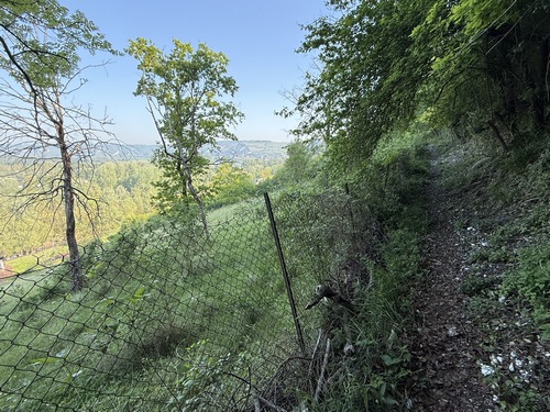 Le sentier ici vers le chemin du Hamel.