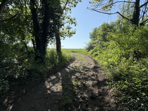 Dès l'arrivée au sommet, changement de paysage, nous quittons la forêt pour la plaine agricole.