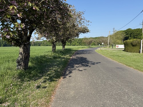 Nous suivons la route appelée Chemin de Château Gaillard (GR2) pour rejoindre le château.