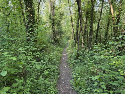 Le sentier de la Côte Havard relie le château à la vallée. Dans la descente, il offre aussi un panorama sur la vallée.
