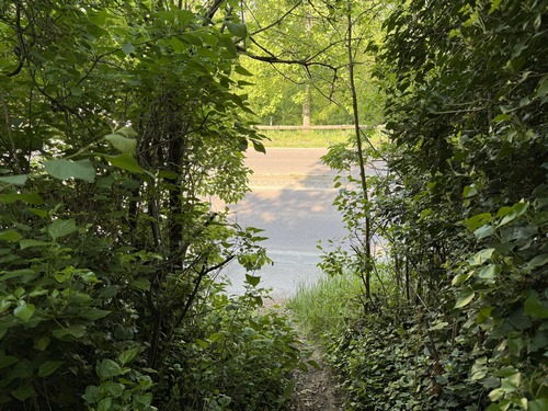 Attention aux enfants, le chemin débouche directement sur la D313.