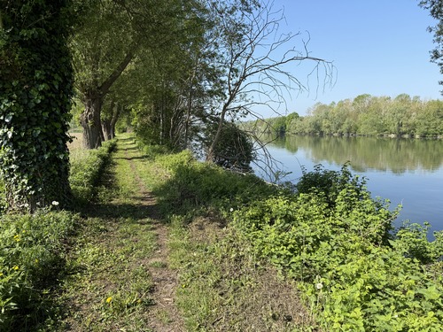 Chemin de bord de Seine en direction de Bouafles.