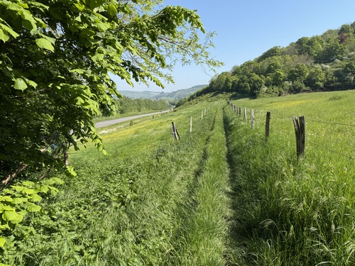 Encore un délicieux chemin, celui-ci relie Bouafles au parc à jeux de Vézillon.