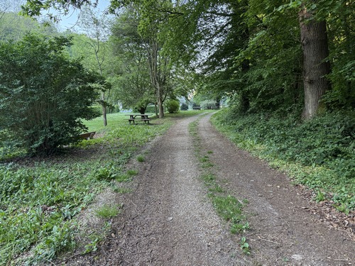 Nous partons de l'aire de pique-nique de la route de Fourmetot, et prenons la direction de la Risle.