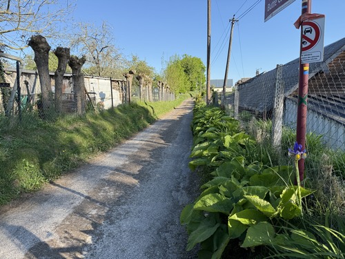 Au hameau du Chemin de Rouen, nous quittons le circuit du Chemin de Napoléon pour continuer en direction de Fourmetot (balisage bleu).