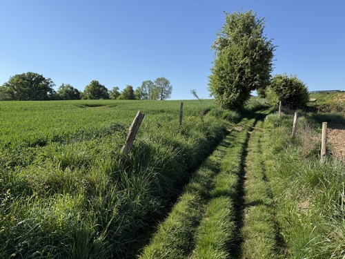 Traversée de la plaine des Longs Champs en direction du hameau des Marettes.