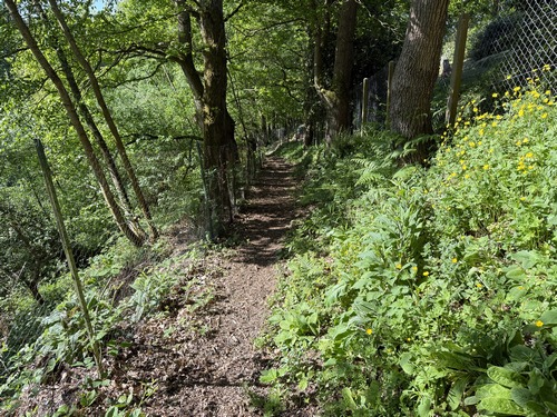 Notre dernier chemin relie le quartier de Saint-Laurent à l'aire de pique-nique où sommes garés.